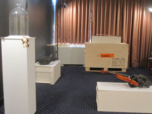 view of the show1