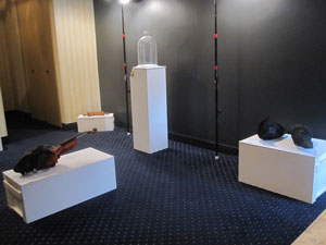 view of the show3