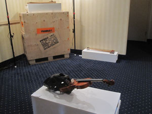 view of the show4