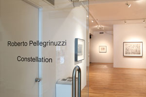 view of the show1