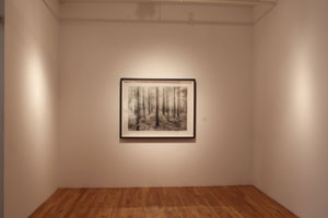 view of the show1