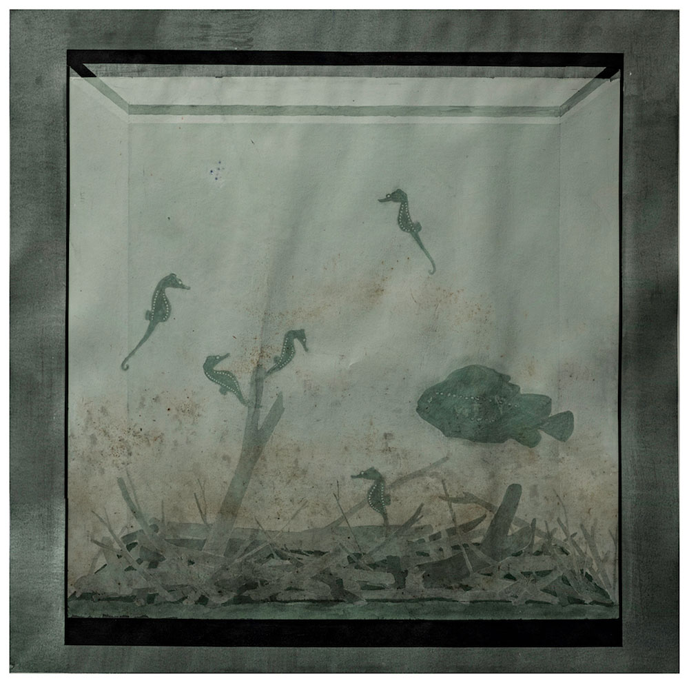Aquariums