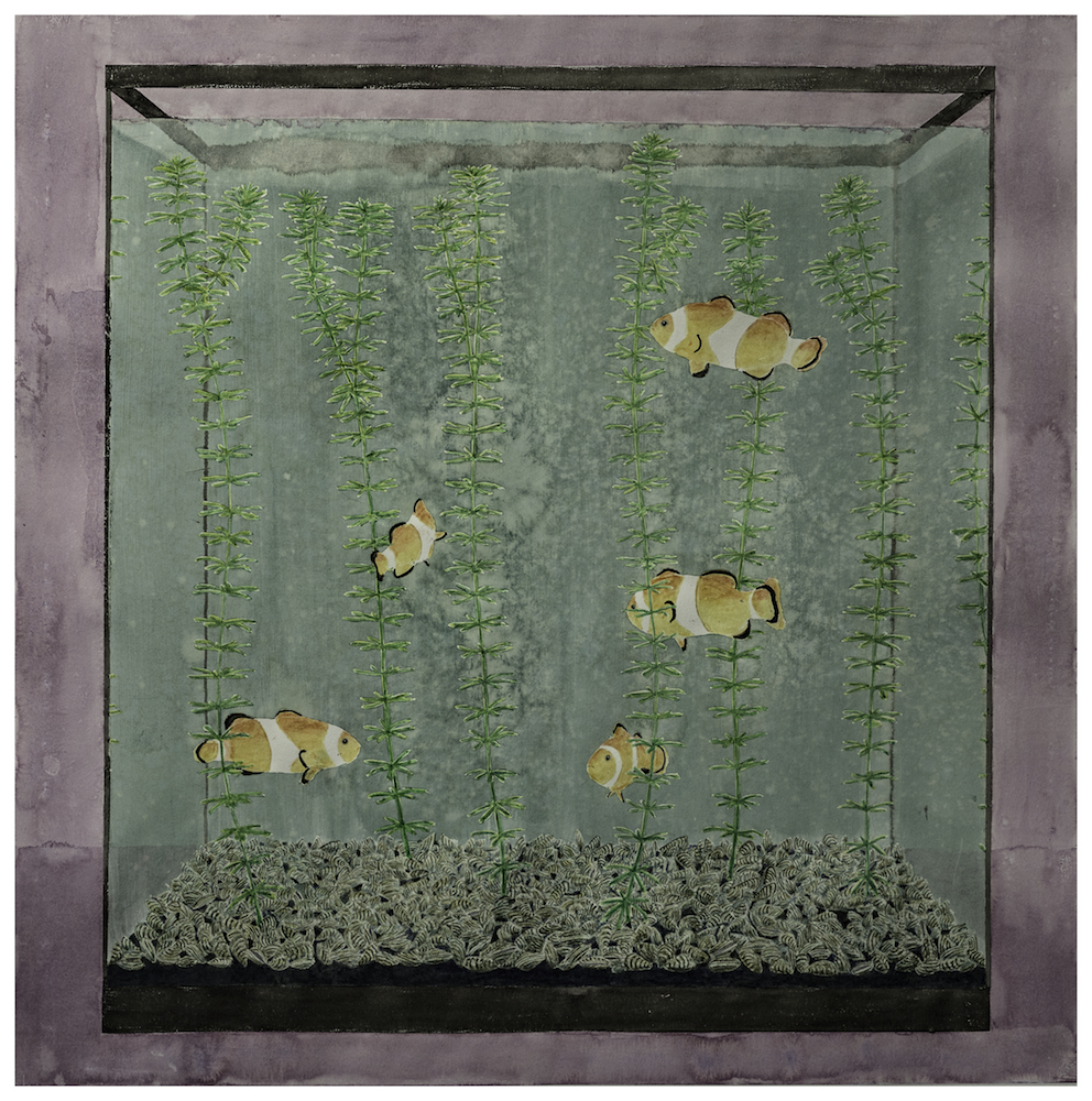 Aquariums