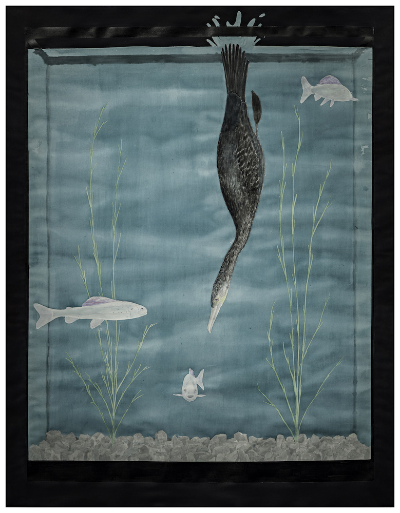 Aquariums