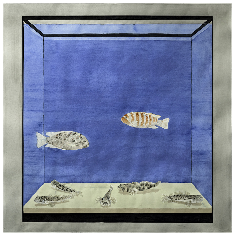 Aquariums