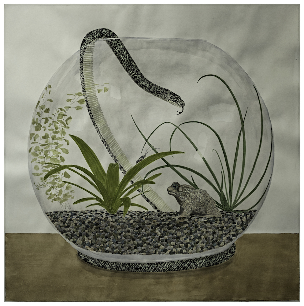 Aquariums