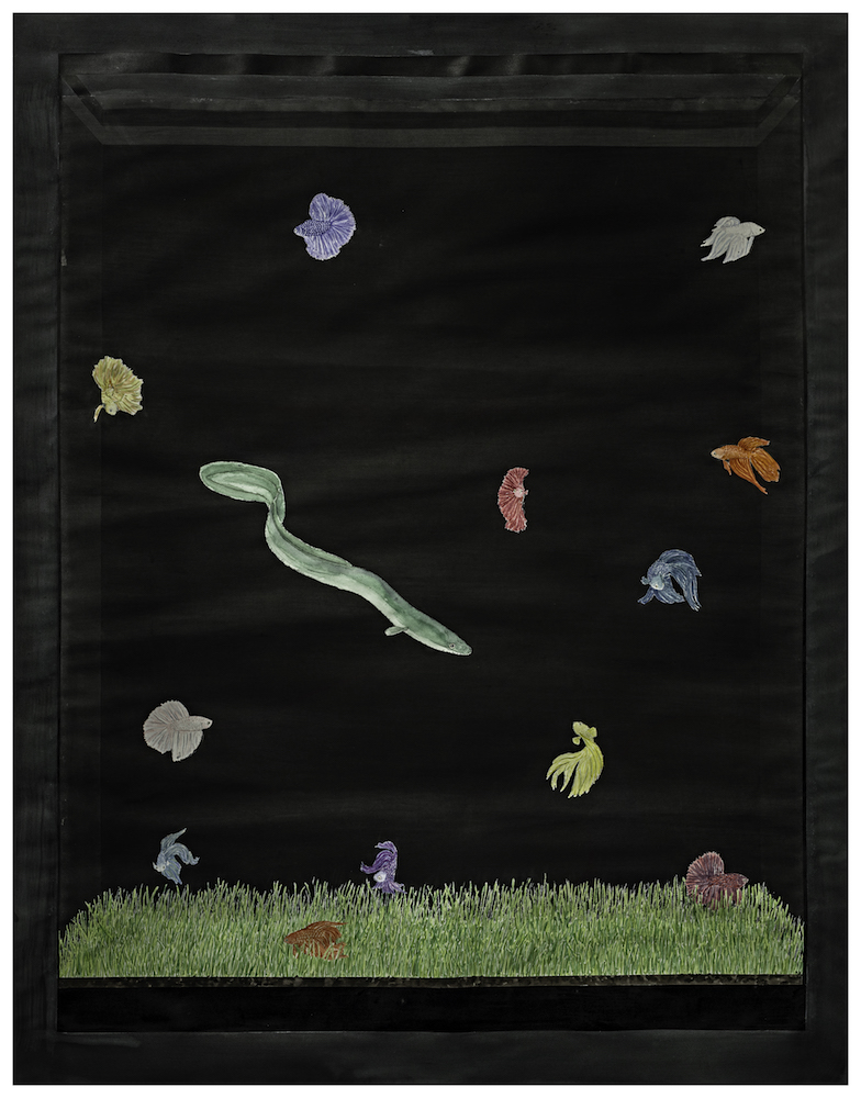 Aquariums