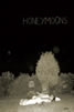 honeymoons catalogue