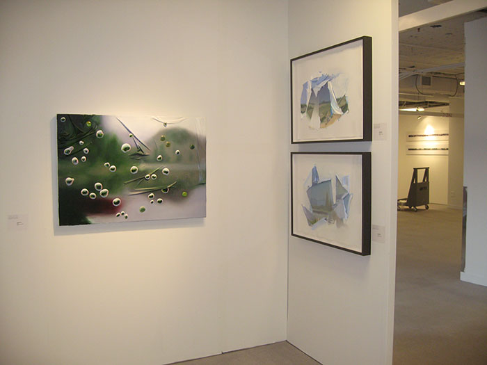 view of the show1
