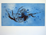 Octoboy Blue